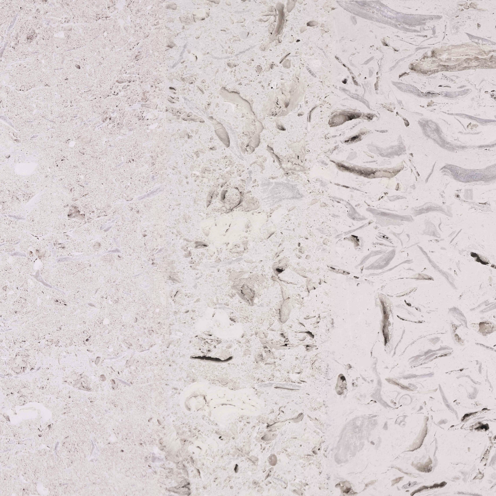 Portland Whitbed