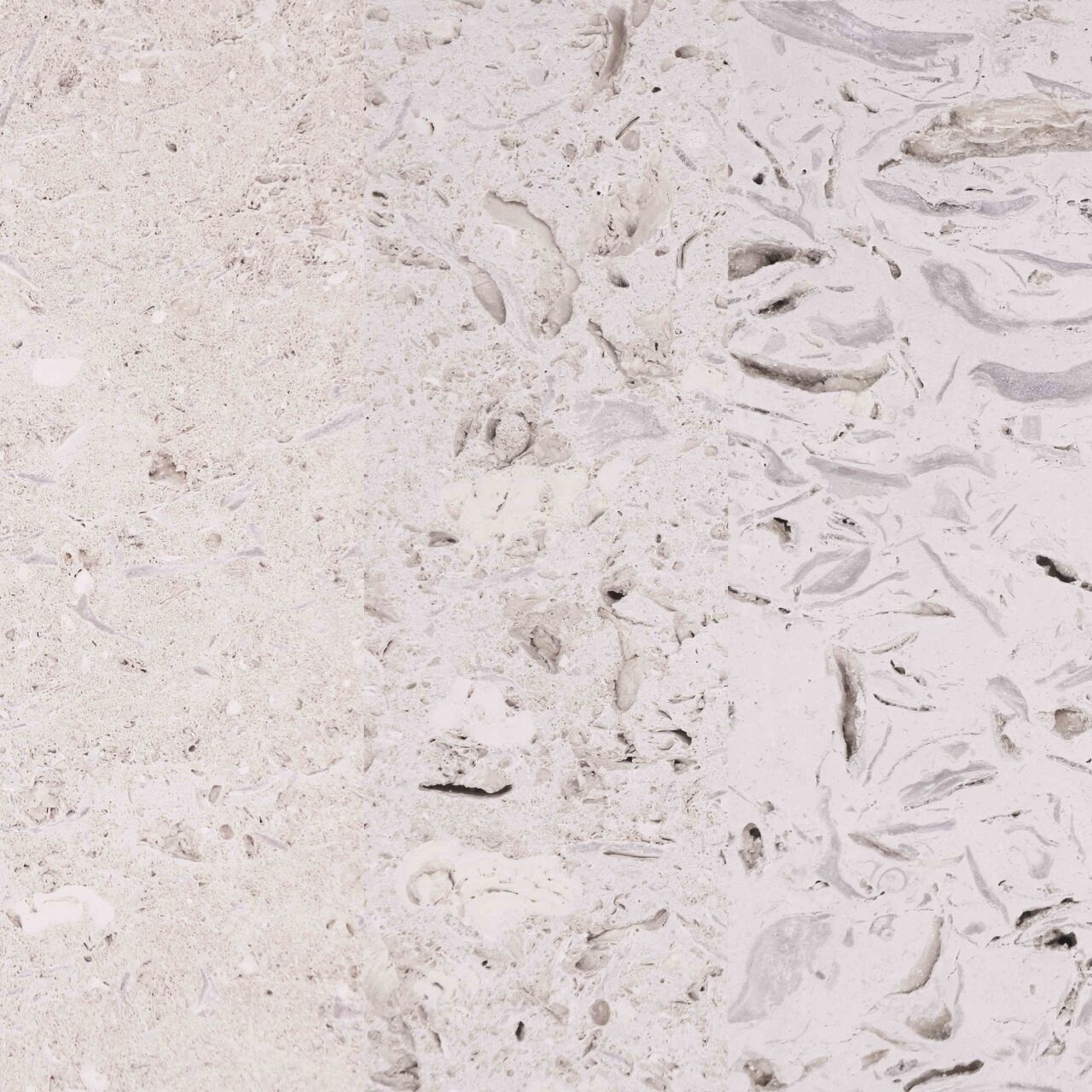 Portland Whitbed