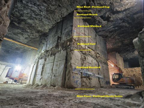 Mine Report No. 113