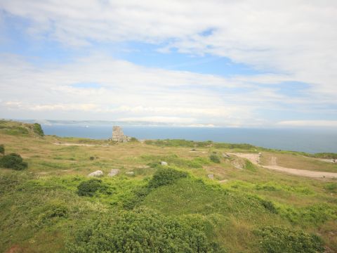 The Isle of Portland Limestone Grassland Restoration Project