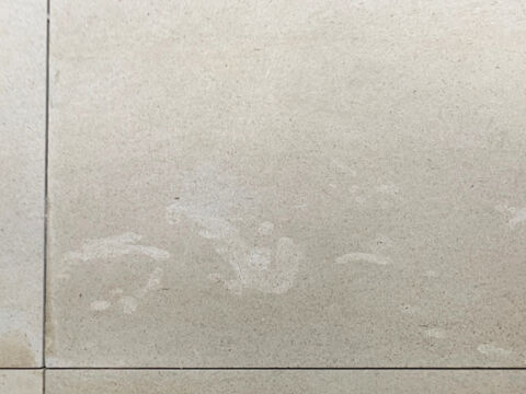 What is Bioturbation in Portland Stone?