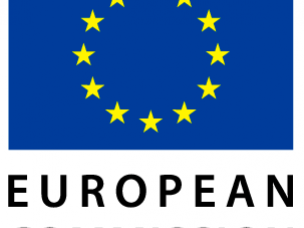 Albion Stone comments on public consultation lead by the European Commission