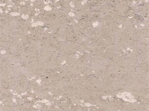 Solenopora: An Ancient Signature Within Portland Stone