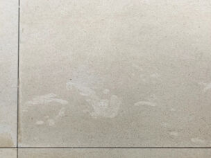 What is Bioturbation in Portland Stone?